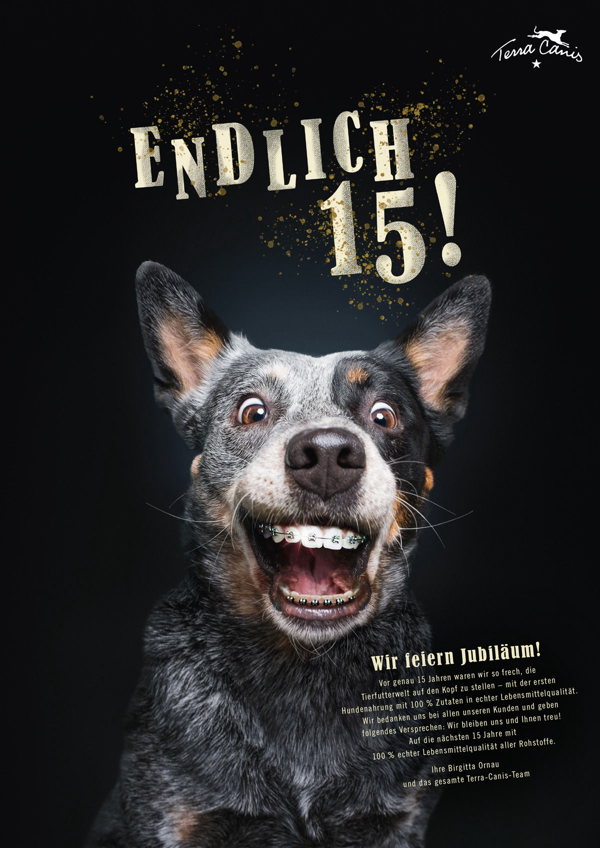 Interview mit Terra Canis Gründerin und Geschäftsführerin Birgitta Ornau