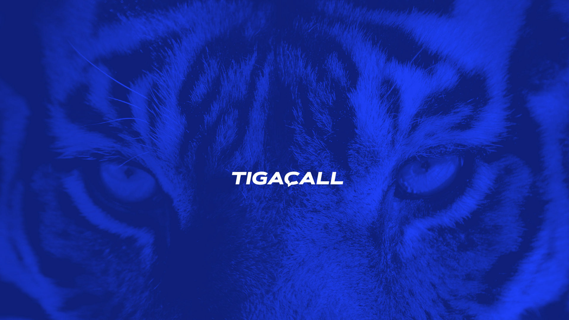 Das neue Tigacall Branding mit Logoschriftzug und Tiger im Corporate Farbton